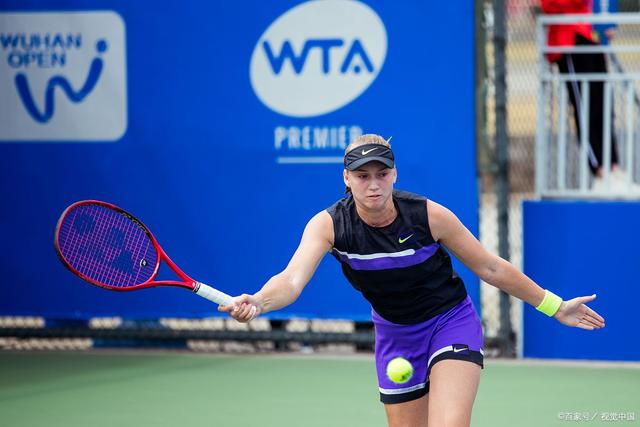 的霸主地位 的霸主地位