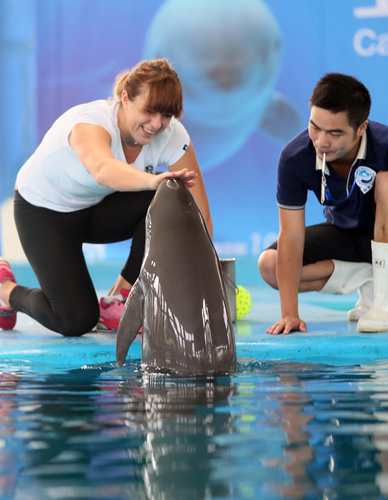 开局数场比 开局数场比