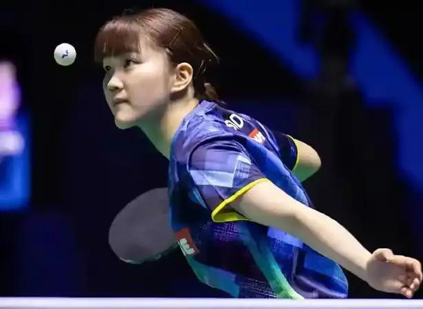 会验证新引 会验证新引