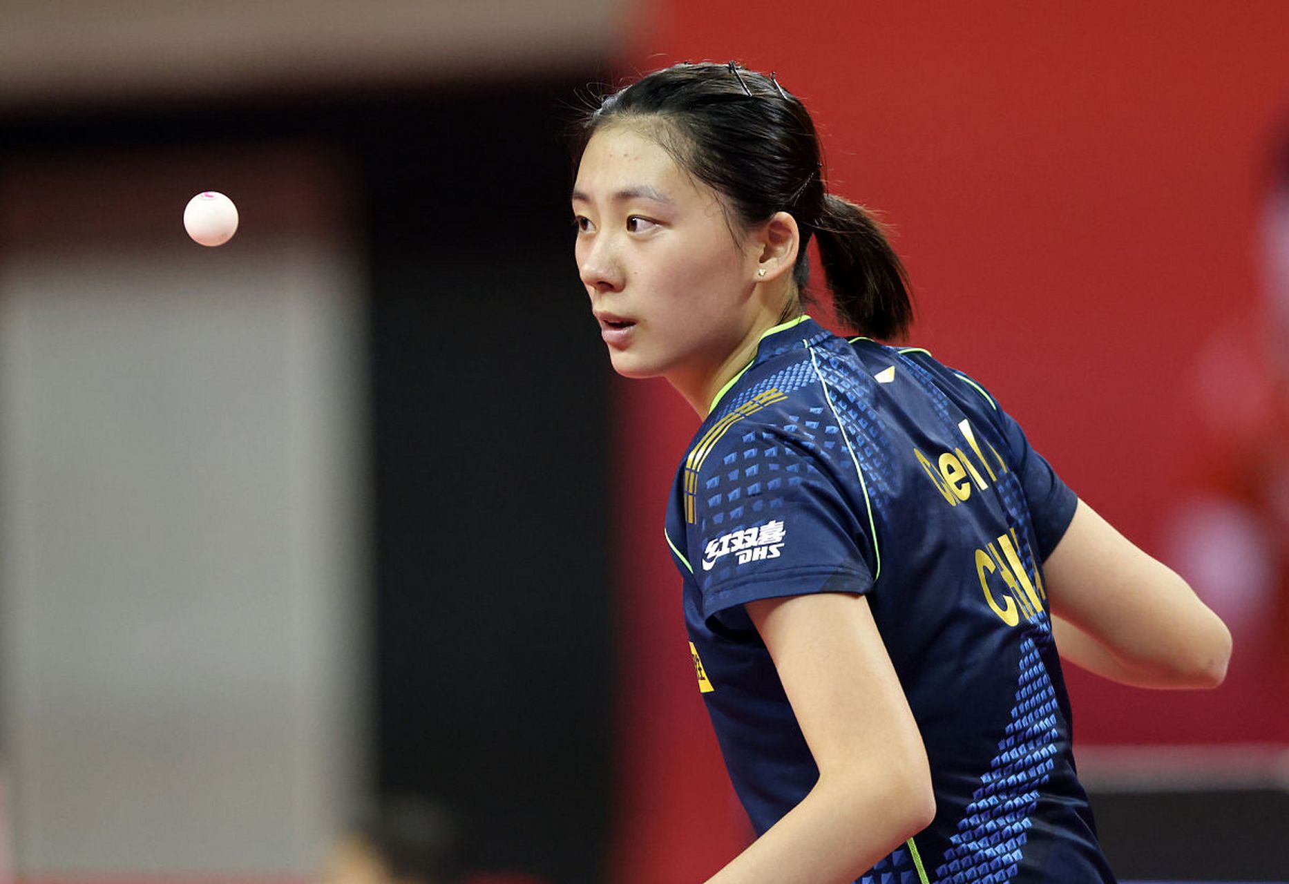 加利亚的硬 加利亚的硬